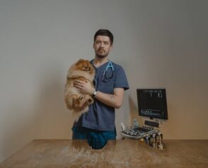 A Detailed List: Pet Conditions Handled by Veterinary Dermatologists