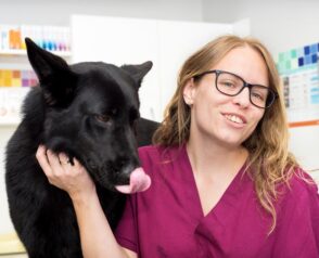 How Does a Multi-Specialty Animal Clinic Benefit Your Pet?