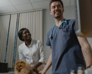 What to Pack for Your Pet’s Pre-Surgery Boarding Stay?